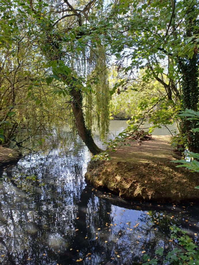 Pond