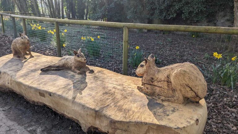 New oak bench