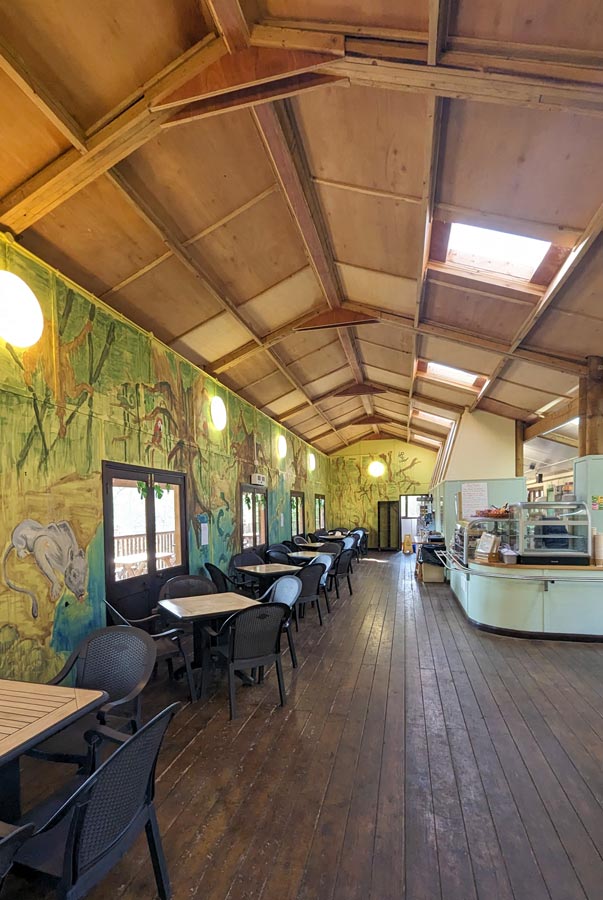 Jungle Cafe